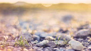 Rocks grass sunny tiltshift shallowdepth - a blurry background of the grass free wallpaper
