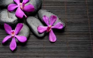 Rocks flowers mat bamboo butterfly - a mat free wallpaper