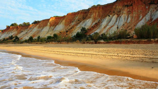 Sandy beach waves cliff trees - a sandy beach free wallpaper for desktop