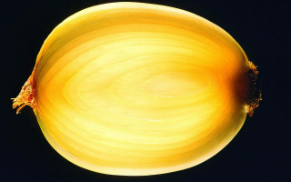 Yellow onion raytraced moon planet - ultra high definition free wallpaper
