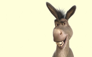 Donkey funny smile yellow background - farid mansour free wallpaper