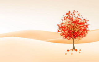Red leaves desert tree sunset - amir zand free wallpaper for desktop