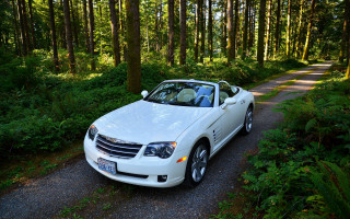 White car forest road bush - free cars wallpaper