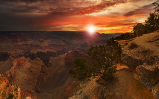 Sunset canyon tree bright sun - a bright sun in the sky free wallpaper