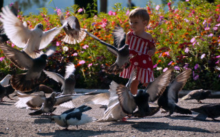 Little girl birds flowers park - a little girl free wallpaper for desktop