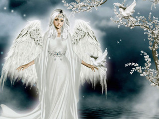 Angelic woman white wings white - angelic free wallpaper