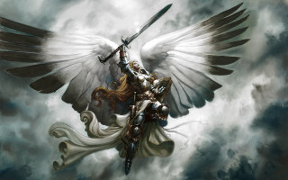 Woman sword wings cloudy day 2 - her hand and a sword free wallpaper