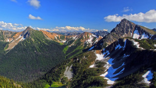 Mountain snow trees blue sky 3 - zenith view free wallpaper