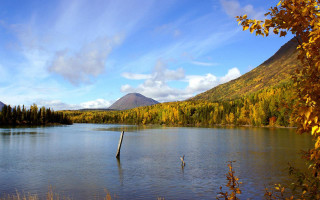 Lake mountains trees blue sky 6 - mountain and trees free wallpaper