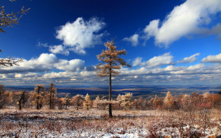 Winter sky trees lake puzzle - the middle of it free wallpaper