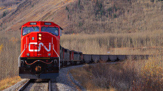 Red train forest hillside tiltshift - tree and grass free wallpaper for desktop