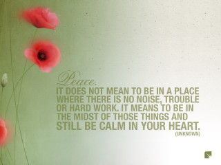 Peace quote red flowers green - red flower free wallpaper