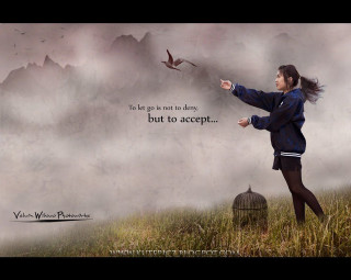 Woman field bird flying above - a poem free wallpaper