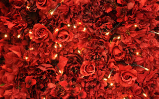 Red flowers candles roses black - a large amount free wallpaper