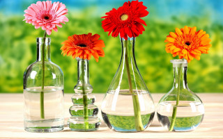 Three vases flowers table water - a green field free wallpaper for desktop