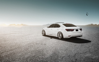 White car parking lot bird - clean line free wallpaper