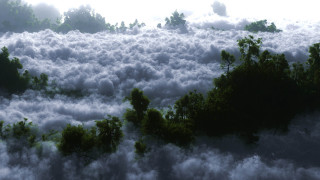 Cloudy forest view blue sky - above the cloud free wallpaper