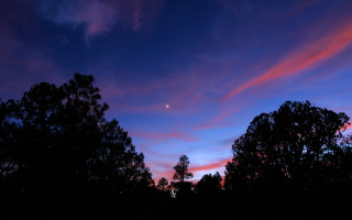 Purple sky clouds trees night - night sky free wallpaper