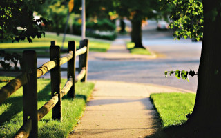 Tree sidewalk park fence bush - grass and trees free wallpaper