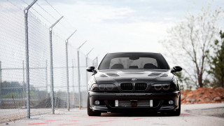 Black car fence cow 3d - refined free wallpaper