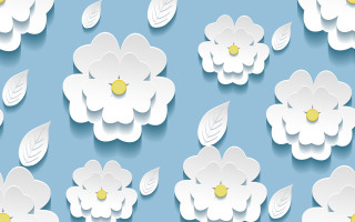 White flowers blue background yellow - a bunch free wallpaper