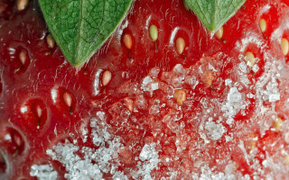 Strawberry leaves sugar macro hyperrealism - free rain wallpaper for desktop