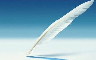 White feather blue surface sky - a white feather free wallpaper