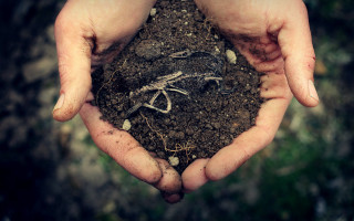 Dirt hands ecological art roots - dirt free wallpaper
