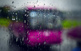 Rainy window pink green cars - a blurry background free wallpaper