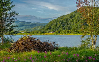 Lake mountains trees house flowers - free summer wallpaper