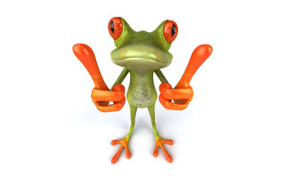 Red eye frog orange fingers - a frog free wallpaper