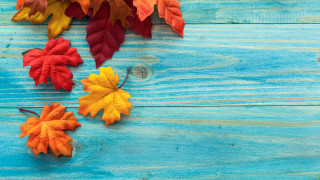 Autumn leaves lightbulb blue wooden - fall vibrancy free wallpaper
