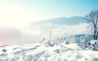 Skiing winter landscape mountains trees - ski free wallpaper