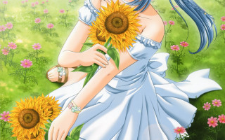 Girl sunflower field white dress 3 - a girl in a dress holding free wallpaper