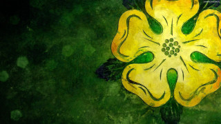 Yellow flower green leaves black 4 - a black bird free wallpaper