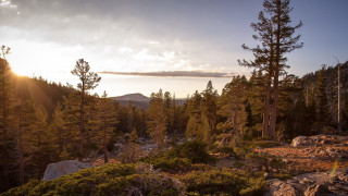Forest mountain sunset lake nature - ansel adams free wallpaper for desktop