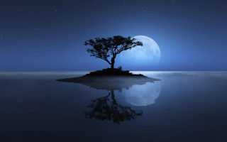 Lone tree island ocean night - moonlight free wallpaper for desktop