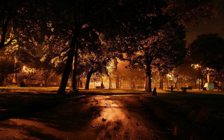 Park night path bench trees - free autumn wallpaper