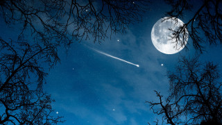 Sky moon trees shooting star - star in the sky free wallpaper