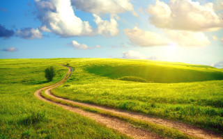 Dirt road green field blue - the horizon free wallpaper for desktop