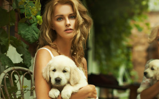 Woman puppy outside blurry animals - a puppy free wallpaper for desktop