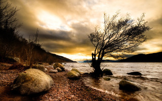 Stormy mountain lake sunset tree - alexander johnston free wallpaper for desktop