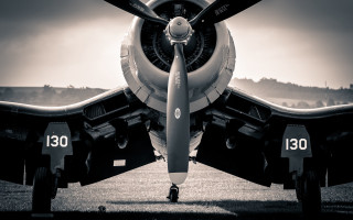 Propeller plane field forest clouds - a forest of trees free wallpaper for desktop