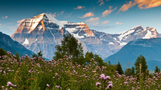 Mountain range snow flowers blue - bob thompson free wallpaper for desktop