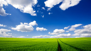 Green field sky clouds background 3 - a green field free wallpaper for desktop