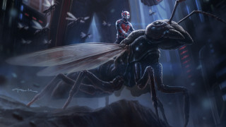 Man giant insect city night - a spider man free wallpaper