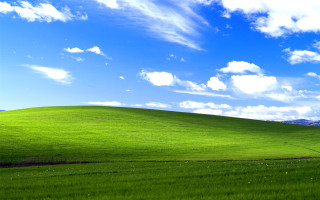 Green field blue sky horse - 4 k hd wallpaper free wallpaper