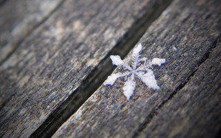 Snowflake wooden surface blurry background - a snowflake free wallpaper for desktop