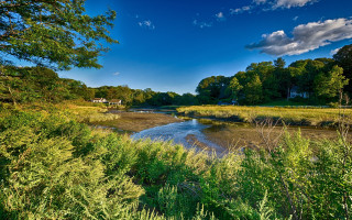 Hudson river forest autumn sky - a lush green forest free wallpaper for desktop
