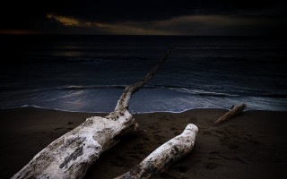 Fallen tree beach dark sky - fallen free wallpaper